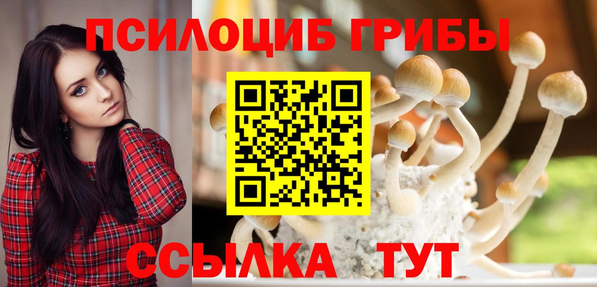 Кимовск  Галлюциногенные грибы ЛСД  Вход с VPN  Галлюциногенные грибы ЛСД 