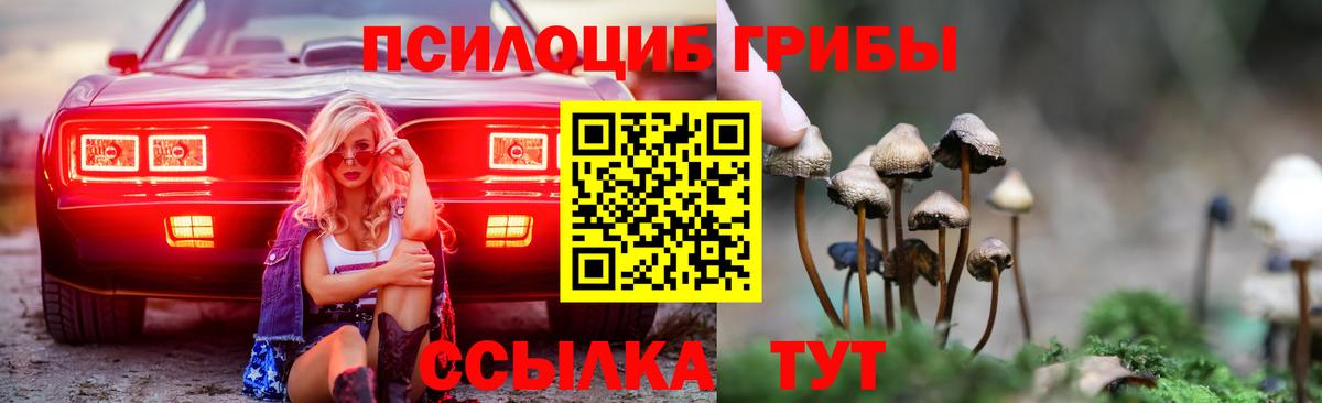 Псилоцибиновые грибы Magic Shrooms Кимовск